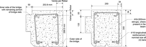 Figure 1. Drafted reference of RC specimen (dimensions in mm). The left image shows width, height, and bar positioning based on average measuraments of all specimens. The right image shows nominal dimensions from original drawings of the bridge. Bars are labelled as follows: TO = top-outer, TI = top-inner, BO = bottom-outer, and BI = bottom-inner. The remaining part of cut-off bridge slab is clearly visible on the left.