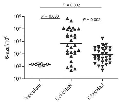 Figure 3 Host environment and innate immune response stimulate progressive increases mutation frequencies. Mutation frequencies are shown as number of 6-azar colonies per 108 cells.