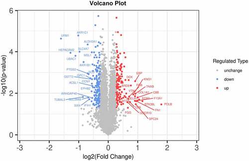 Figure 6. Expression profiles in sh-DGKZ-SiHa cells or sh-NC-SiHa cells. In the volcano plots, the red points represent the differentially upregulated proteins and the blue points represent the differentially downregulated proteins