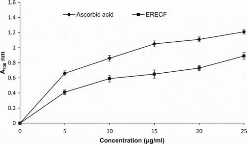 Figure 6. Reducing power activity of ethanolic root extract of Coleus forskohlii (ERECF) and standard compound, ascorbic acid.