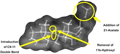Figure 1 Schematic diagram of the anecortave acetate, a unique synthetic cortisene. Modifications made to the cortisol parent molecule are shown.
