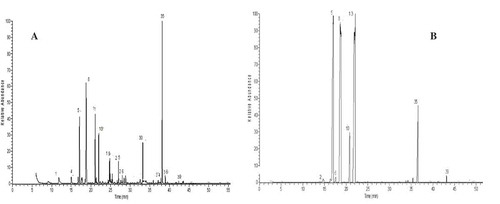 Figure 2. Volatile extracts chromatograms for Madinah, Saudi Arabia parsley isolated by (a) hydrodistillation and (b) SPME.