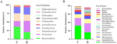 Figure 6. Gut microbiota analysis of P. sinensis. (A) Relative abundance of phylum levels. (B) Relative abundance of genus levels. (C) The Venn diagram showing the number of unique and shared operational taxonomic units (OTUs) of gut bacteria of healthy and diseased P. sinensis. (healthy P. sinensis: C; diseased P. sinensis: D).