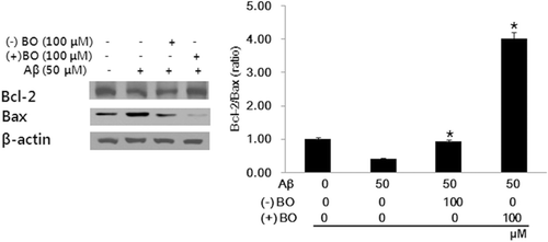 Figure 4.  Effect of borneol on the Aβ1–42 induced apoptosis in SH-SY5Y cells. Borneol increased the Bcl-2/Bax protein ratio. Each protein was normalized to β-actin. The results are expressed as mean ± SEM of three experiments performed in triplicate. *P < 0.05 vs. Aβ only.