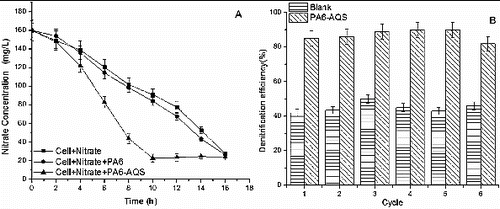 Figure 4. Application of PA6-AQS for denitrification. Effect of PA6-AQS on the denitrification efficiency (A). Repeated usage of PA6-AQS for denitrification (B).