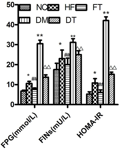 Figure 7 Changes of FPG, FINs, and HOMA-IR of the diabetic rats before and after L6H4 treatment. NC: Normal control; HF: High fat; FT: High-fat treatment; DM: Diabetes mellitus; DT: Diabetes treatment. Mean ± SD; *P<0.05 vs NC, **P<0.05 vs NC; ##P<0.05 vs HF; ΔΔP<0.05 vs DM.