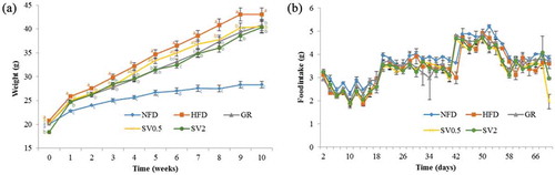 Figure 3. Effects of Solidago virgaurea var. gigantea 10% ethanol extract (SV10E) on (a) body weight and (b) food intake in high-fat diet-induced obese mice. Results are presented mean ± SE (n = 6). NFD, normal-fat diet control; HFD, high-fat diet control; GR, HFD + 1% Garcinia cambogia extract of 60% (–)-hydroxycitric acid; SV0.5, HFD + 0.5% SV10E; SV2, HFD + 2% SV10E. Points in the same week with different letters are significantly different from each other (p < 0.05).