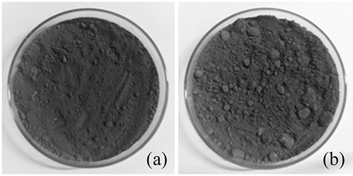 Figure 2. Pictures of DLR with (a) 9.42% and (b) 19.85% moisture content.
