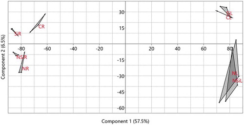 Figure 5. Principal component analysis (PCA) illustrating distances between metabolites identified from a group of three replicate samples of leaves (CL) and roots (CR) when the plants were irrigated with distilled water, leaves (NL) and roots (NR) when the plants were irrigated with 300 mM NaCl solution, leaves (SiL) and roots (SiR) when the plants were irrigated with a silicon solution only and leaves (NSiL) and roots (NSiR) when the plants were irrigated with a salt solution in the presence of silicon. The first two coordinates explained about 64% of the variance.