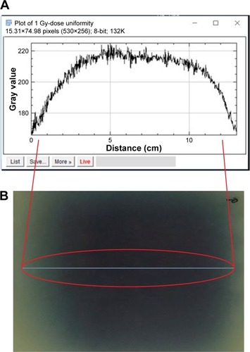 Figure 3 Dose uniformity validated using Gafchromic™ EBT3 films; (A) dose line profile, (B) irradiated film.