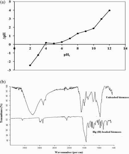 Figure 1. (a) Determination of point of zero charge of P. cruentum and (b) FTIR spectra of unloaded and Hg(II)-loaded P. cruentum.