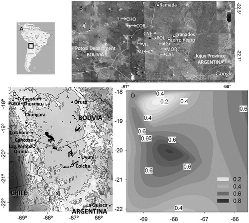 FIGURE 1. (A) Study area location in South America; (B) lakes (codes in capital letters, see Table 1), and dendrochronological sample sites used for the regional chronology (indicated with white dots); (C) geographical location of meteorological stations used for the analysis; and (D) Spearman correlation map between precipitation data from meteorological stations and the average of the differences of the six smaller lake sizes.