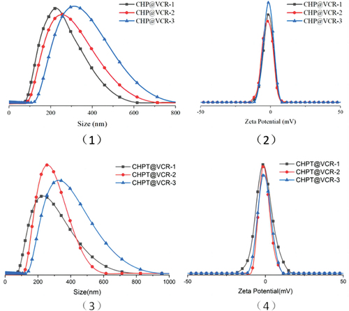 Figure 4. Particle size diagram of three feeding ratios of CHP@VCR NPs (1), CHPT@VCR NPs (3) and potential diagram of three feeding ratios of CHP@VCR NPs (2) and CHPT@VCR NPs (4).