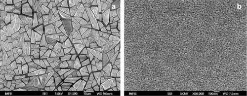 Figure 10. SEM images of TiO2 films deposited on glass (a) without PEG, (b) with PEG (200 g mol−1), showing reduced crack formation and increased porosity [Citation257].