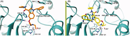 Figure 2. The best binding pose of 7 before (A) and after (B) the proton shuttling step in the hCA VII active site (PDB ID 3MDZ). The ligand is represented as orange (A) or yellow (B) sticks, while the protein structure is depicted in sea-green ribbons and sticks. Interacting residues are labelled. The Zn2+ ion is represented as a violet sphere. H-bonds are represented with the red dashed lines.