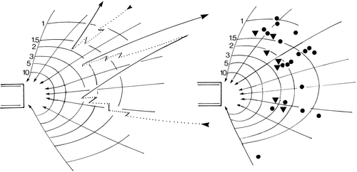 Figure 4.  The behaviour of Mesodinium cells in a siphon flow. The numbers refer to fluid velocity in mm s−1. Left: tracks of two ciliates in the flow. The dotted lines are the passive movement along flow lines; the solid lines are jumps. Right: initiation of jumps (solid circles) and of sustained swimming against the flow (triangles). The internal opening of the capillary is 0.15 mm.