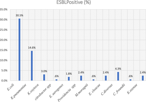 Figure 1 Distribution of ESBL-PE at Debre Berhan Comprehensive Specialized Hospital from January to May 2021.