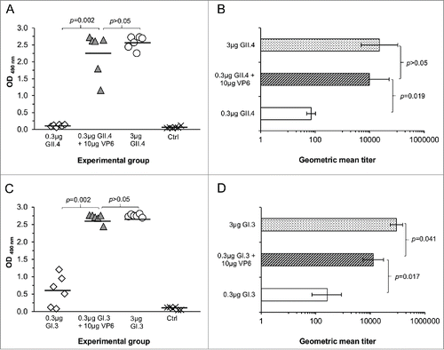 Figure 2. NoV GII.4 (A, B) and GI.3 (C, D) genotype-specific serum IgG antibody responses induced with 0.3 μg or 3 μg of GII.4 or GI.3 VLPs alone or with 0.3 μg doses in a combination with 10 μg of RV VP6. Control (Ctrl) mice received carrier (PBS) only. OD490nm values of GII.4- (A) and GI.3-specific (C) antibodies in 1:100 diluted sera of individual mice are shown with the horizontal line representing the mean OD490nm value of the experimental group. GII.4- (B) and GI.3-specific (D) end-point titers of the groups of mice expressed as the geometric mean titers of the reciprocal of the highest sample dilution giving a positive reading. Error bars represent 95% confidence intervals, CIs. Groups were compared by Mann-Whitney U-test or Fisher's exact test and p values determined.