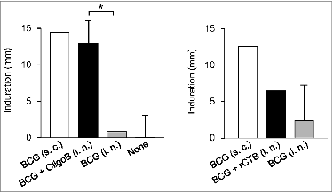 Figure 3. Nasally administered OligoB enhances DTH reaction to PPD. Guinea pigs were nasally immunized with BCG + OligoB or BCG + rCTB or subcutaneously immunized with BCG alone. After six weeks, a delayed-type hypersensitivity (DTH) reaction to a purified protein derivative (PPD) was evaluated. The two panels are from independent experiments. The DTH reaction induced by BCG + OligoB immunization was significantly stronger than that after immunization with BCG alone, reaching the level induced by the subcutaneous immunization with BCG. *P < 0.05 in analysis of variance followed by post hoc Tukey's test (n = 5). Reproduced with permission from Maeyama et al.Citation30,33