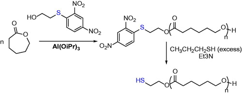 Figure 3. End-functionalization of poly(ε-caprolactone) by using a functional initiator.[Citation21]