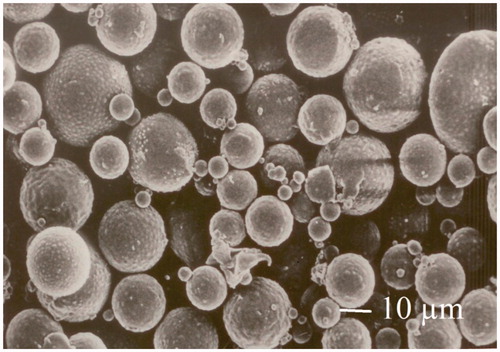 Figure 1. Scanning electron microscopic (SEM) image of polymeric microparticle.