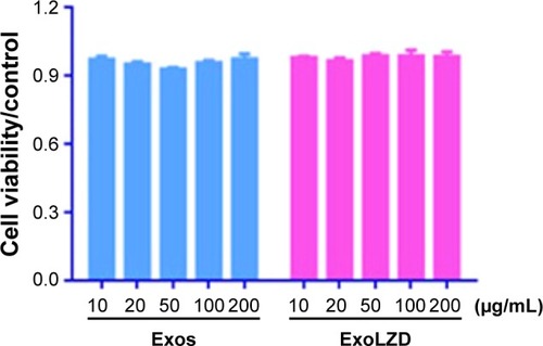 Figure 3 Cytotoxicity of Exos and ExoLZD on RAW 264.7 cells.Notes: RAW264.7 cells were incubated with Exos (10, 20, 50, 100, and 200 µg/mL) or ExoLZD (Exos=200 µg/mL; LZD=10, 20, 50, 100, and 200 µg/mL) for 72 hours. Cell viability was assessed by the MTT assay. Data are represented as the mean±SD of three independent experiments in triplicate.Abbreviations: Exos, exosomes; ExoLZD, exosome-entrapped linezolid; LZD, linezolid.