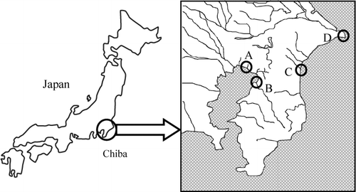 FIGURE 1 Map of the sampling sites. A: Makuhari; B: Yoro; C: Naruto; D: Choshi.