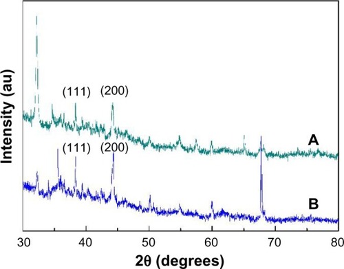 Figure 3 X-ray diffraction curves for (A) the PVA/COS/AgNO3 nanofiber and (B) the PVA/COS-AgNP nanofiber.Abbreviations: AgNP, silver nanoparticle; COS, chitosan oligosaccharide; PVA, poly(vinyl alcohol).