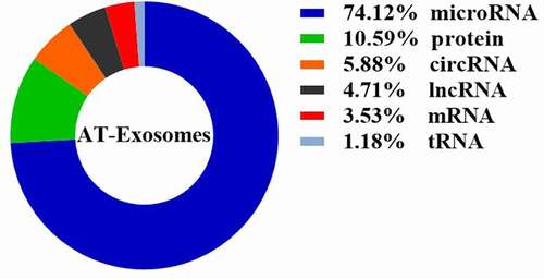 Figure 2. The proportion of components in AT-Exosomes