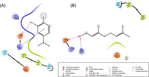 Figure 2. 2D-Schematic representation of Carvacrol and Geraniol with the target protein HMG-R. (A) Carvacrol interaction with HMG-R in the binding pocket visualized through the 2D structure. (B) The 2D structure interaction representation of Geraniol with the active pocket amino residues of HMG-R.