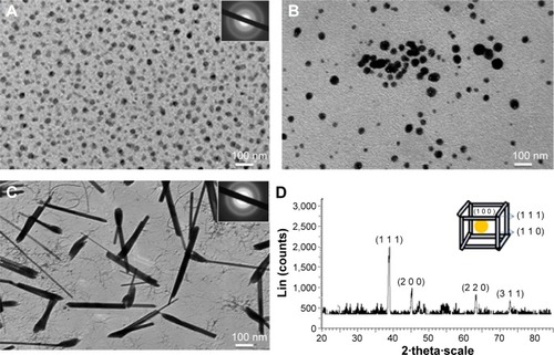 Figure 1 TEM micrograph.Notes: (A) 20 nm spherical-shaped Ag NPs; (B) 50 nm with spherical-shaped Ag NPs; (C) TEM image showing 50 nm of rod-shaped Ag NPs. The insets show the diffraction pattern recorded by aligning the electron beam perpendicular to one of the square faces of an individual nanoparticle. (D) XRD pattern of Ag NR.Abbreviations: TEM, transmission electron microscopy; NPs, nanoparticles; XRD, X-ray diffraction; NR, nanorod.