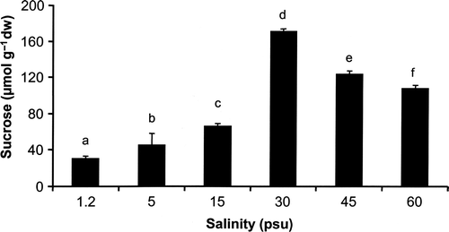 Fig. 4. Changes in sucrose concentration (µmol g−1 dry weight) of Klebsormidium sp. (n = 4, mean value ± SD) after 72 h exposure to a range of salinities. Significance of differences among the treatments was calculated by one-way ANOVA (P < 0.01). Different letters represent significant differences among the salinities as revealed by Tukey's post hoc test. psu, practical salinity units.
