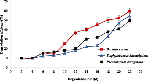 Figure 5. Degradation efficiency of crude oil by Bacillus cereus (J3), Staphylococcus haemolyticus (J5) and Pseudomonas aeruginosa isolates. Note: Data are means ± SD of triplicate determinations.