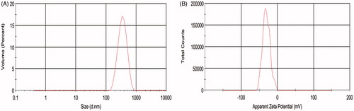 Figure 2. Hydrodynamic diameter and zeta potential of IVM-SLNs. (A) Hydrodynamic diameter and (B) zeta potential of IVM-SLNs in aqueous solution were measured by dynamic light scattering (DLS), using a Malvern Zetasizer Nano, and were 312.8 nm and −30.5 mV, respectively.