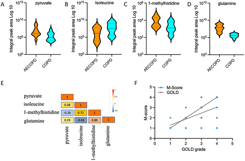 Figure 3 (A–D) The levels of pyruvate, isoleucine, 1-methylhistidine and glutamine between AECOPD and COPD were quantitatively compared. (E) The related level index among the four metabolites were calculated and a metabolite score based on the related level index was constructed through applying a weighted sum of concentrations of 4 metabolites. (F) The correlation between stable COPD and AECOPD patients with pulmonary ventilation function and symptoms was analyzed by using a Pearson correlation coefficient.