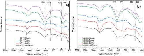 Figure 2. FTIR patterns of the TS and CSH samples after immersion in SBF for upto 14 days. Relevant peaks are mentioned and discussed in the text. a) BG-TS and b) BG-CHS samples.