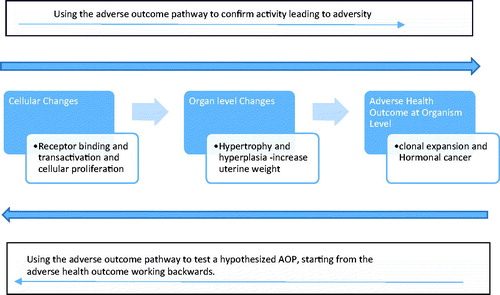 Figure 16. Applications of the adverse outcome pathway framework.