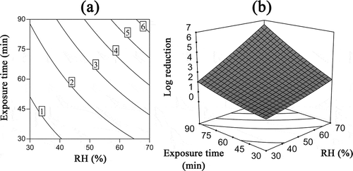 Figure 7. Interaction effects of exposure time and RH on the inactivation of B. subtilis subsp. niger spores using ClO2 gas while the ClO2 gas concentration was 2 mg/L. (a) Contour plots of log reduction; (b) response surface.