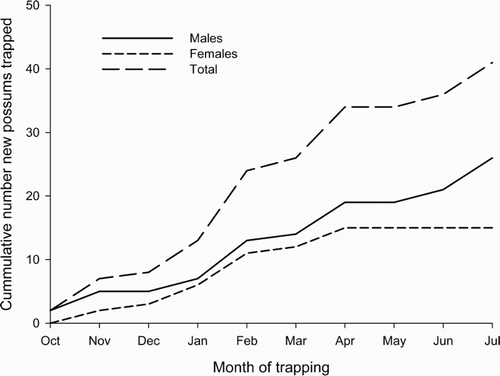 Figure 4. Cumulative number of new possums trapped at Orongorongo Valley resettlement study site during the initial population recovery from October 1983 to July/August 1984.