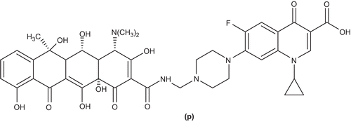 Figure 15.  Ciprofloxacin derivative (p).