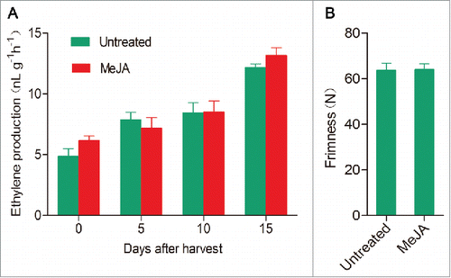 Figure 2. Ethylene production and firmness of ‘Hanfu’ apple fruit with or without the application of MeJA during storage. Fruits were collected at commercial harvest and stored at room temperature for 15 days. Fruits were sampled every 5 d, and ethylene production and fruit firmness were measured according to Tan et al.Citation20 A, ethylene production of apple fruit during storage. B, firmness of apple fruit at 15 d after storage. Three biological replicates were performed. Values represent means ± SE. Statistical significance was determined using a Student's t-test. Untreated, fruits without MeJA application; MeJA, fruits with MeJA application.