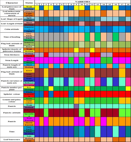 Figure 1. DUS Fingerprints of 18 rice varieties using 21 informative traits. (1) JGL1798, (2) JGL 3855, (3) JGL 11470, (4) JGL 18047, (5) JGL 11118, (6) JGL 17004, (7) JGL 24423, (8) KNM 118, (9) RNR 15048, (10) Tellahamsa, (11) RNR 2458, (12) RNR 2465, (13) WGL 44, (14) RAMAPPA, (15) WGL 32100, (16) BPT 5204, (17) MTU 1010, (18) KPS 2874.