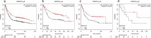 Figure 4. Prognostic value of SMAD4 expression in gastric cancer