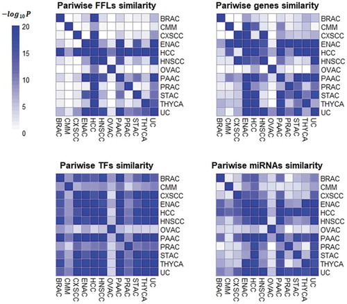Figure 2. Heat map showing the Fisher’s -log (p-value) for the pairwise overlap of FFLs, genes, miRNAs and TFs between the prognostic co-regulatory networks.