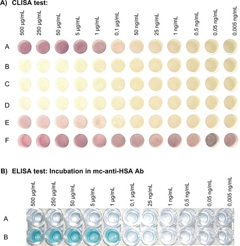 Figure 4 A) CLISA test: wells of microtiter plates were coated with HSA samples and incubated in the following:A: GCC labeled with mc-anti-HSA Ab including GCC-blocking solutionB: GCC solution including GCC-blocking solution (negative control)C: GCC labeled with mc-anti-β-galactosidase Ab including GCC-blocking solution (negative control)D: GCC labeled with mc-anti-HSA Ab, including GCC-blocking solution, incubated in blocked, washed, and without coated HSA-sample wells (negative control)E: GCC labeled with pc-anti-BSA Ab including GCC-blocking solution (for testing the specificity of Ab)F: incubation of GCC solution (without GCC-blocking solution) in wells coated with samples (to show the importance of blocking GCC particles using GCC-blocking solution)Figure 4 B) ELISA test, incubated in:A: wells of microtiter plates were coated with tris or HCl buffer and incubated in mc-anti-HSA Ab solution (negative control)B: wells of microtiter plates were coated with HSA samples and incubated in mc-anti-HSA Ab solution.