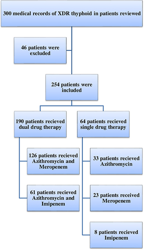 Figure 1 Patient stratification.