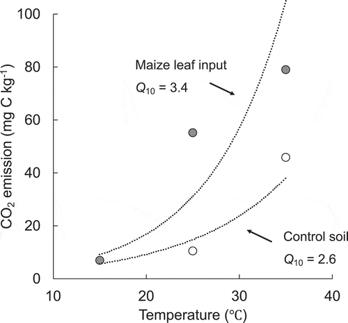 Figure 3. CO2 emissions and Q10 values from the soil as affected by the increase in temperature, and by the simultaneous increase in temperature and labile C (maize leaf) input