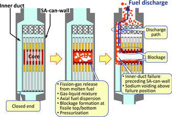 Figure 13. Phenomena expected in early-discharge phase.