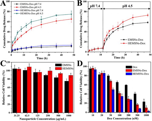 Figure 5. Comparison of drug-release profiles and in vitro cytotoxicity tests. (A) and (B) Release profiles of Dox from EMSNs-Dox and HEMSNs-Dox in both single pH 4.5 and pH 7.4 conditions (A), and a single-step change in the pH condition from pH 7.4 to pH 4.5 (B). (C) SK-BR-3 cell viability with particle concentrations of EMSNs and HEMSNs from 31.25 to 1000 μg mL−1 for 24 h. (E) SK-BR-3 cell viability with Dox concentrations of free Dox, EMSNs-Dox, and HEMSNs-Dox from 10 to 1000 nM for 24 h.