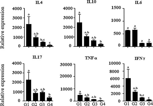 Figure 2. Expression of cytokine mRNA in the liver tissue of rats treated with Euterpe edulis in the IL diet, interleukin; TNF, tumor necrosis factor alpha; IFN-γ, or gamma interferon. G1: commercial ration; G2: commercial ration + 4% OE; G3: commercial feed + 10% LEE; G4: commercial ration + 10% LEDE defatted. a, b, c Different letters in the columns denote a statistical difference between groups at p < .05.